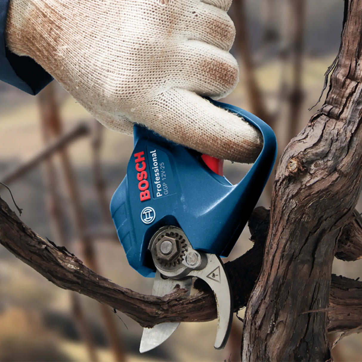 Forbici per Potatura Bosch GGP 12V-25 3Ah