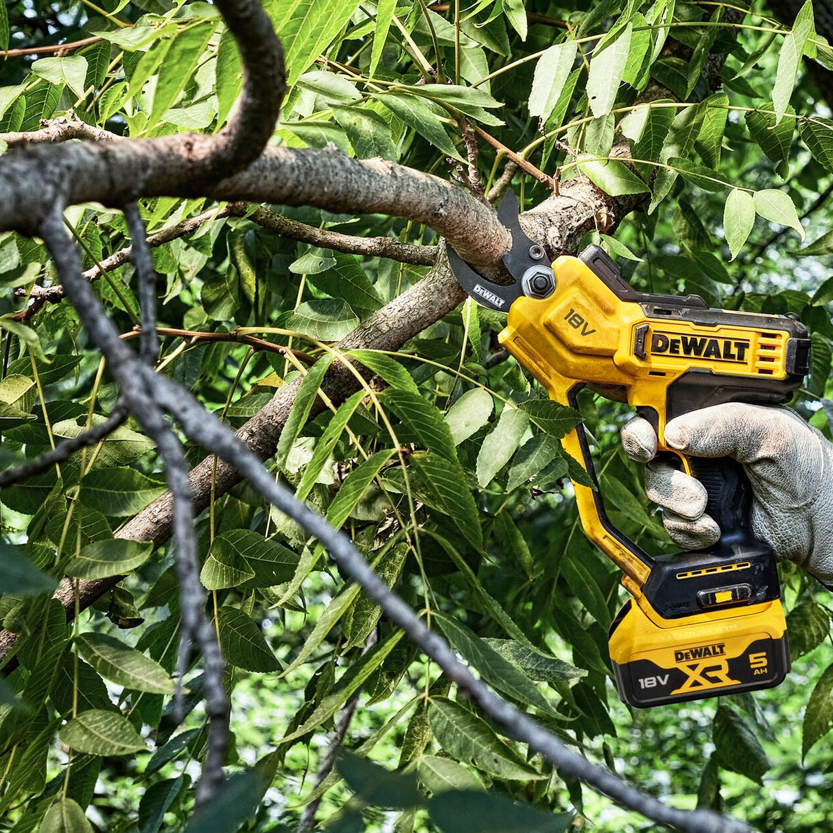 Potatore manuale Dewalt DCMPP568P1-QW 18V 5Ah