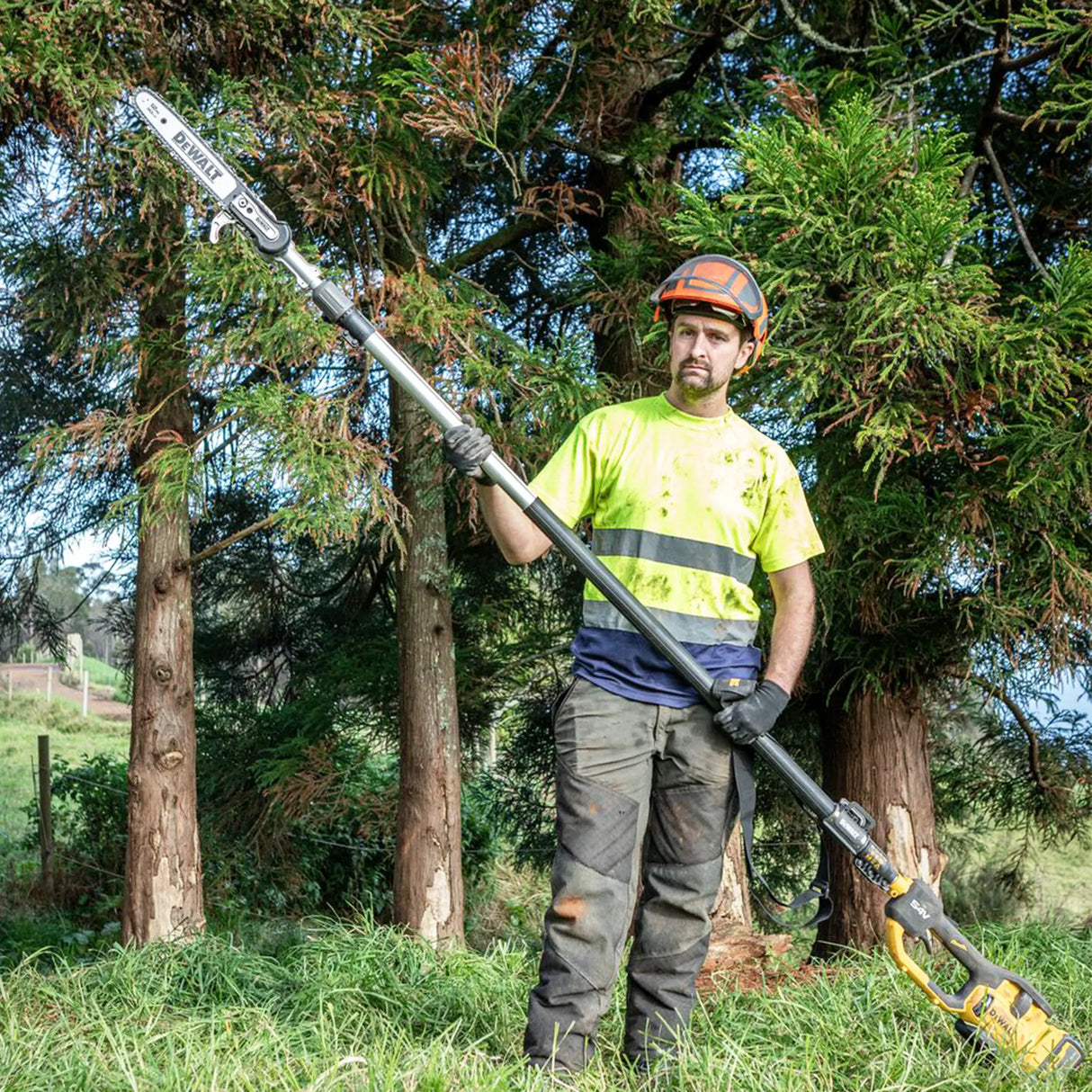 Potatore telescopico Dewalt DCMPS640N-XJ 54V