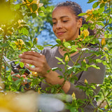 Forbici da giardino Gardena PremiumCut Flex