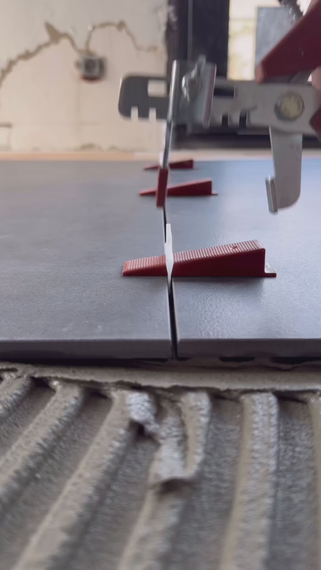 Distanzzange Raimondi RLS-Blase